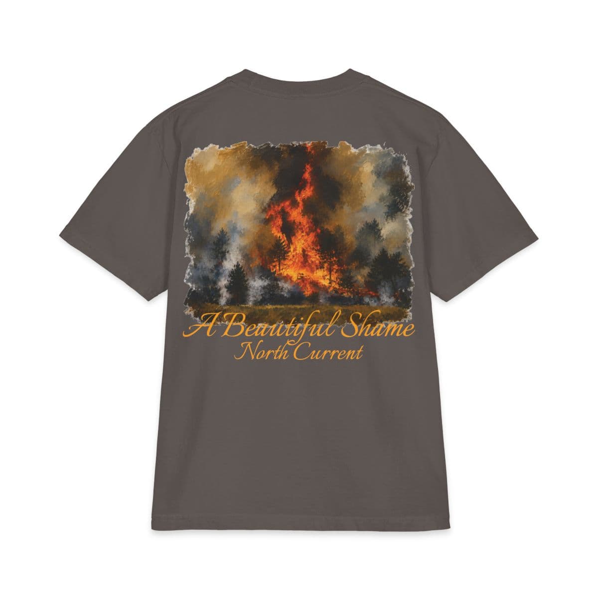 A Beautiful Shame T-Shirt